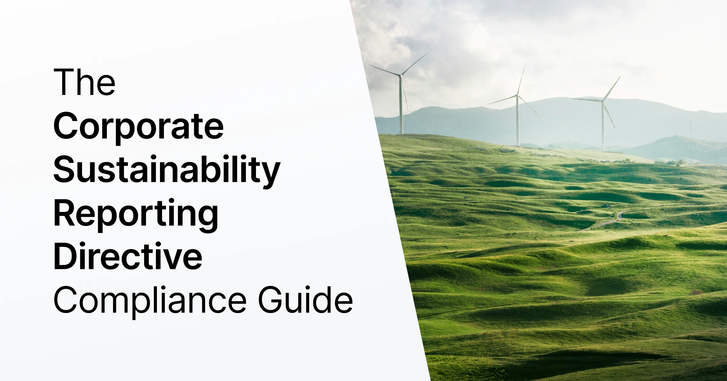 The CSRD Compliance Guide: 9 Steps to Mastery