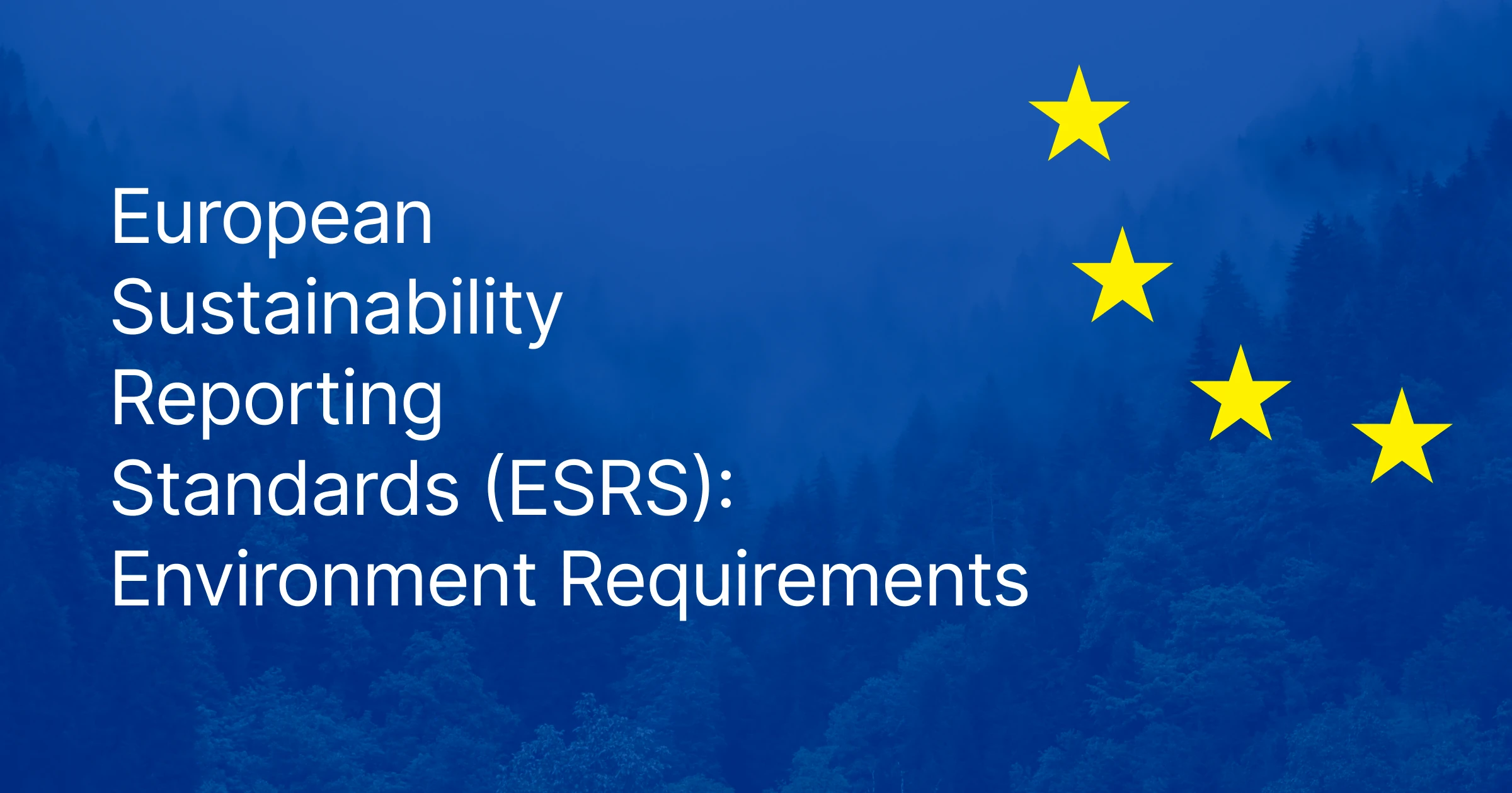 European Sustainability Reporting Standards (ESRS): Environment Requirements